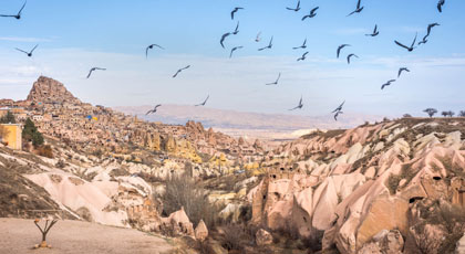 Pigeon Valley