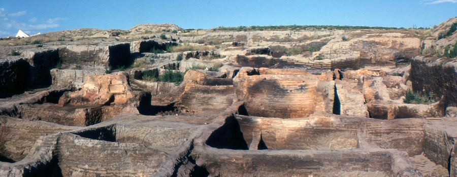 Ruinas neolíticas de Çatalhöyük
