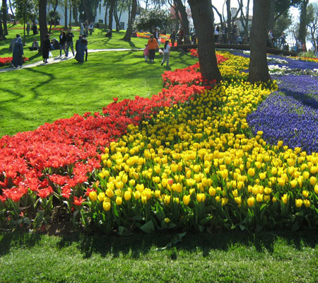 Parterres de tulipanes en flor en el parque Emirgan, Estambul